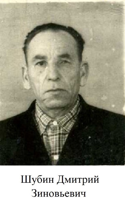 Шубин Дмитрий Зиновьевич